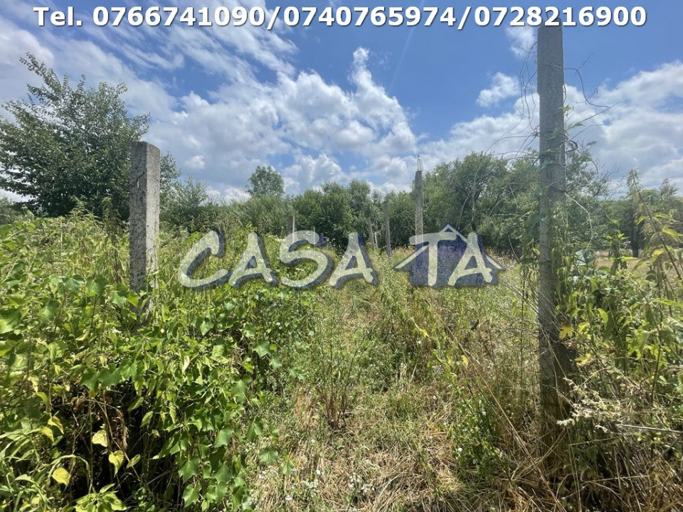 Casa 3 Camere + Teren aferent (5385mp) si Anexe, Balcesti