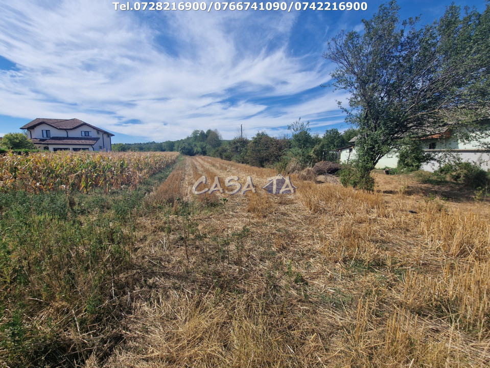 Teren Intravilan (2309 mp), situat in Turcinesti-Cartiu