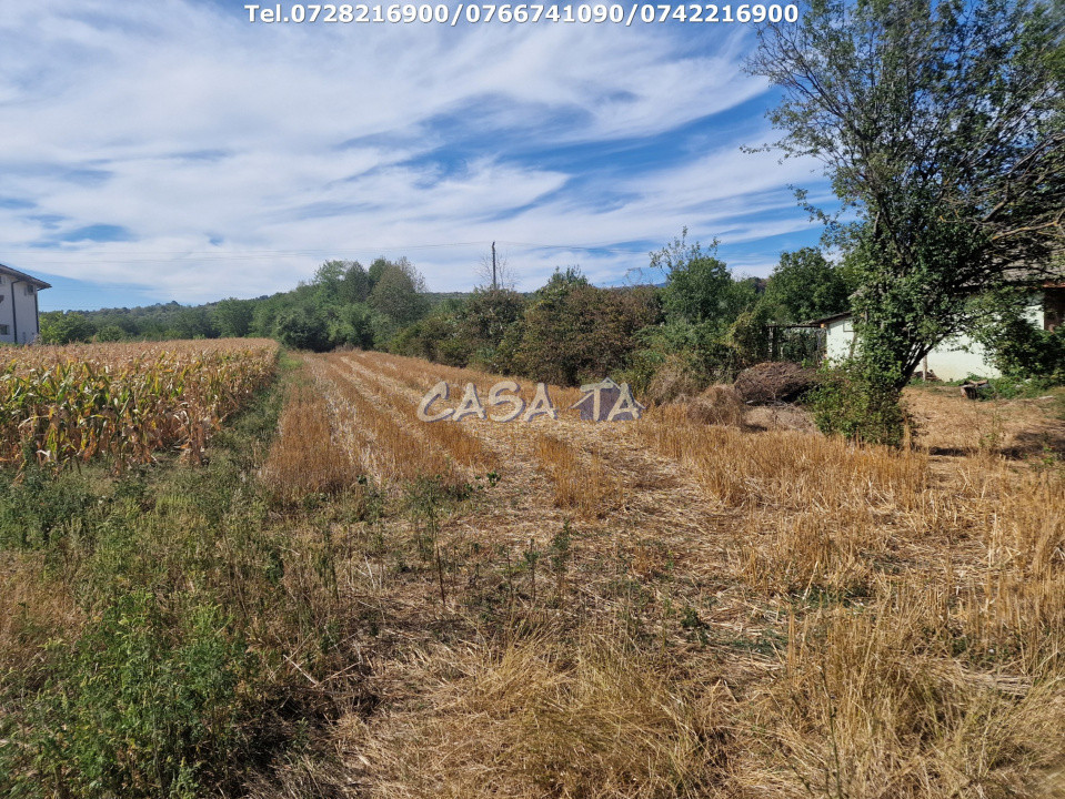 Teren Intravilan (2309 mp), situat in Turcinesti-Cartiu