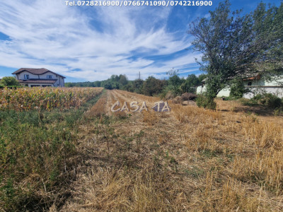 Teren Intravilan (2309 mp), situat in Turcinesti-Cartiu