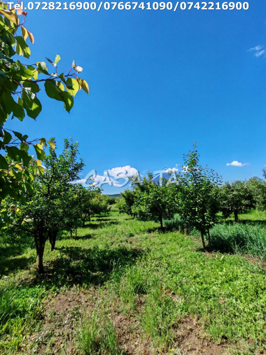 Casa situata în Samarinesti, sat Valea Bisericii