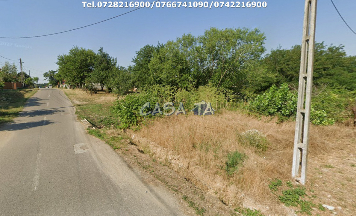 Teren Intravilan (5000 mp),situat în Curtisoara (Gorj)