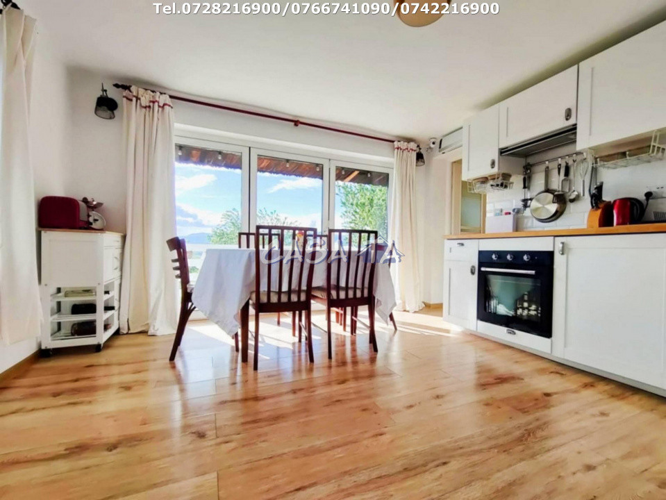 Închiriere casa cocheta, situata în Tetila (Curtișoara Gorj)