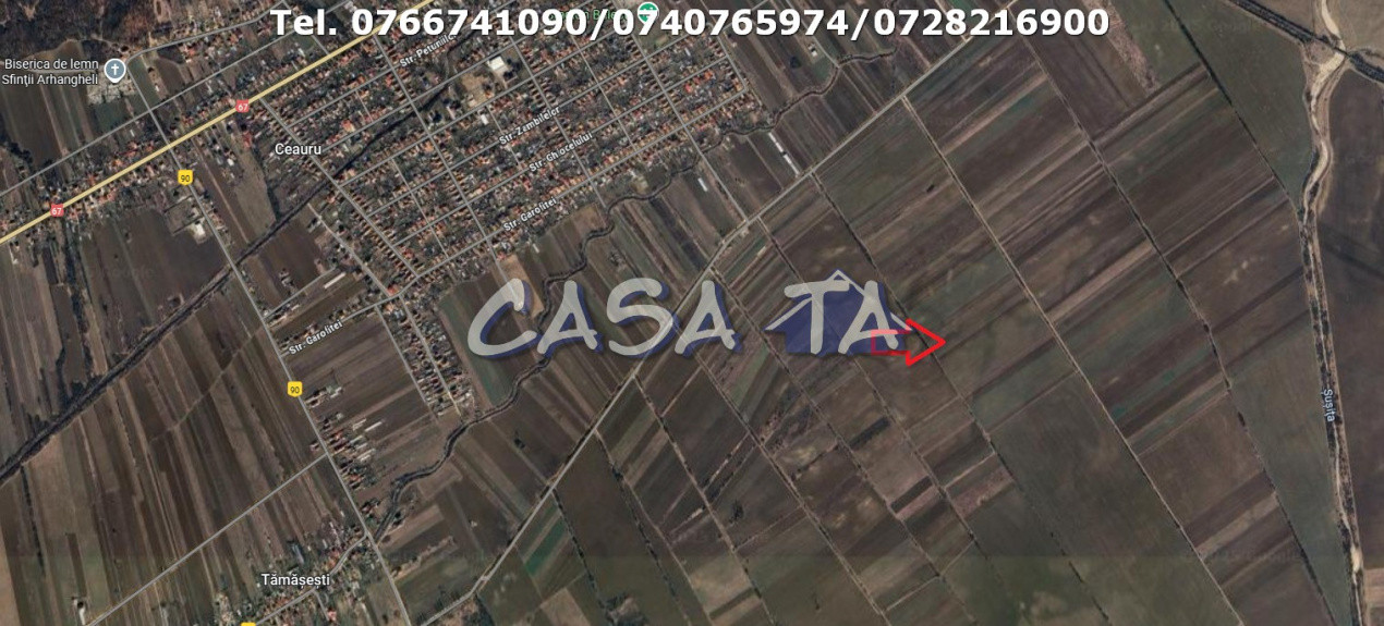 Teren Extravilan-Agricol, Balesti