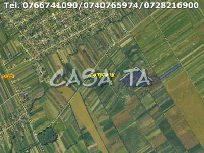 Teren Extravilan-Agricol, Balesti