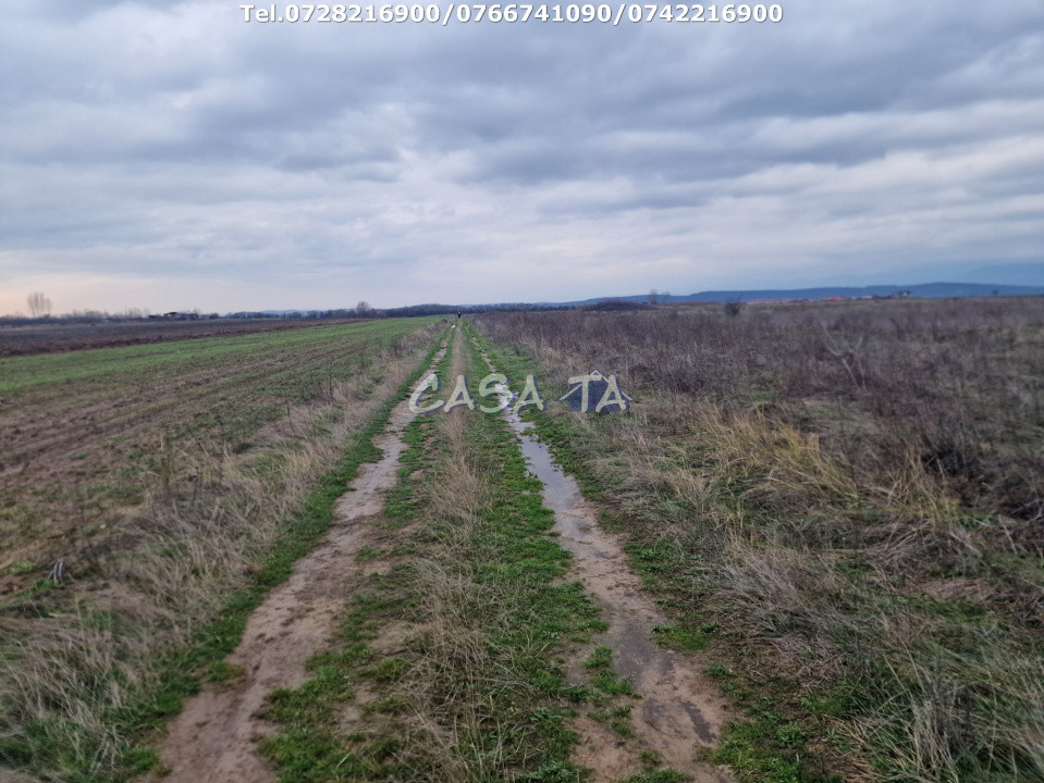 Teren Extravilan (5900 mp),situat în Targu-Jiu, Preajba-Dragoieni 
