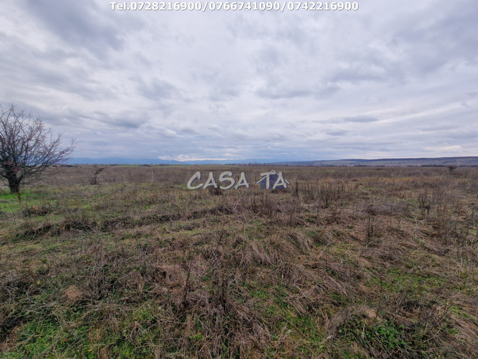 Teren Extravilan (5900 mp),situat în Targu-Jiu, Preajba-Dragoieni 