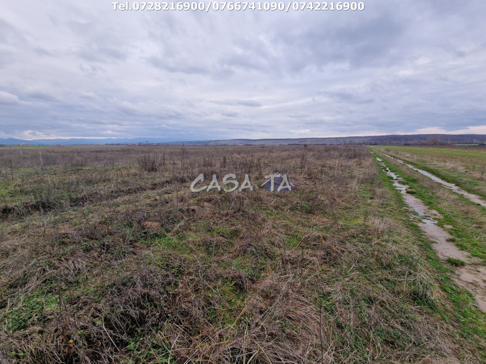 Teren Extravilan (5900 mp),situat în Targu-Jiu, Preajba-Dragoieni 