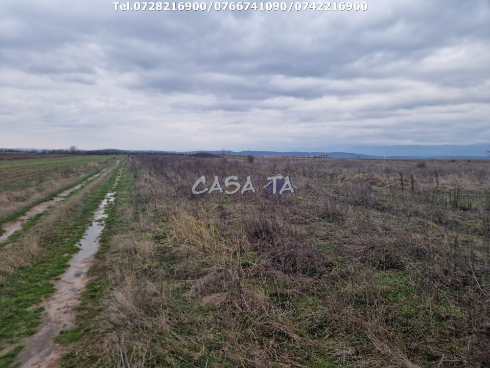 Teren Extravilan (5900 mp),situat în Targu-Jiu, Preajba-Dragoieni 