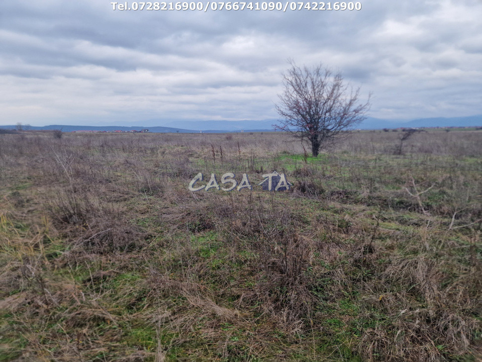 Teren Extravilan (5900 mp),situat în Targu-Jiu, Preajba-Dragoieni 