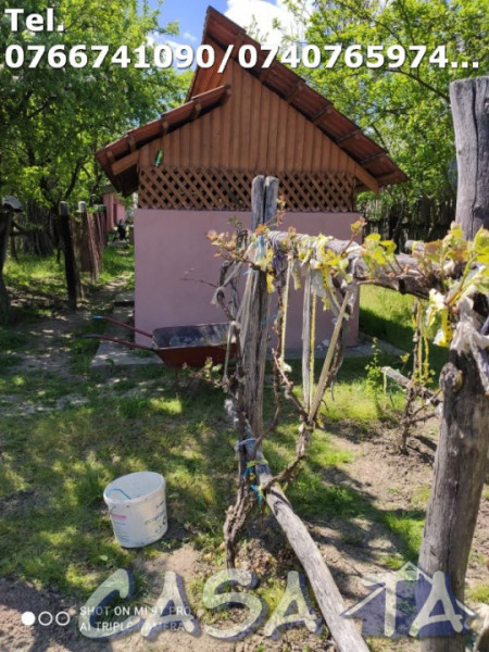 Casa 4 Camere P+E+M, Targu - Logresti