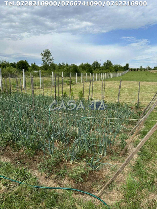 Teren Intravilan (5000 mp),situat în Lelesti, Com. Lelesti