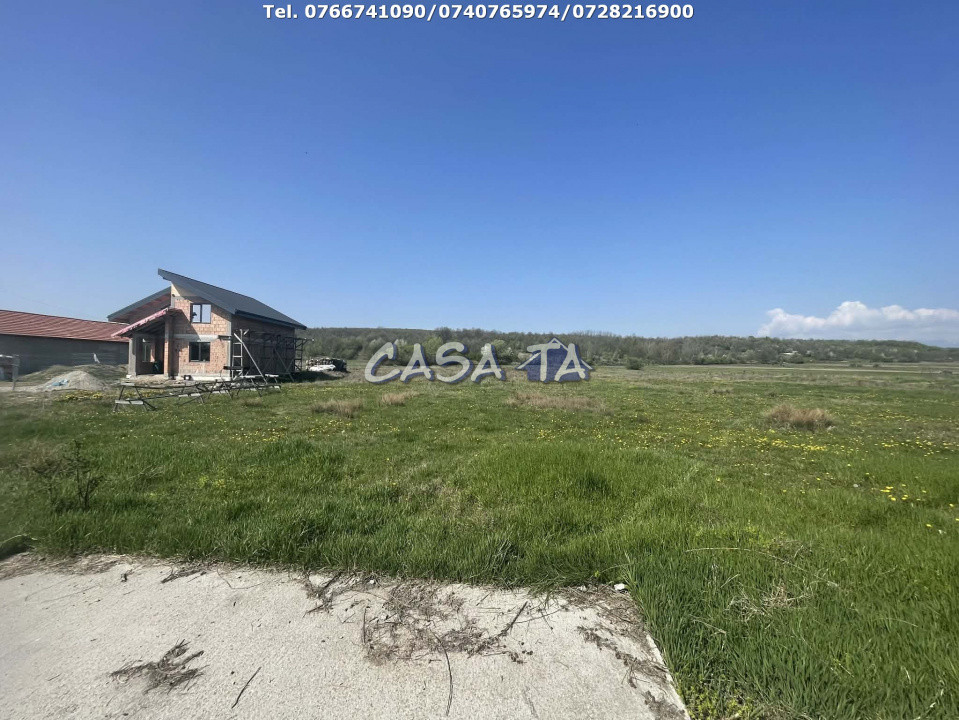 Teren 2734 mp, Comuna Balesti - Stolojani 