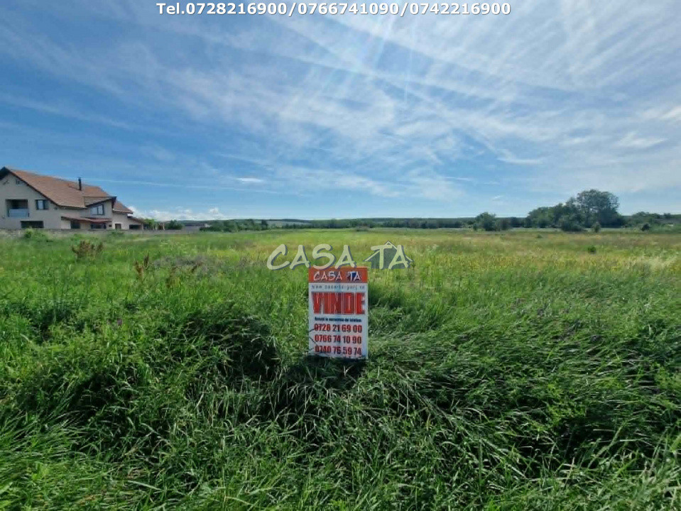 Teren Intravilan (3405 mp), Preajba -Str. Frăsinetului