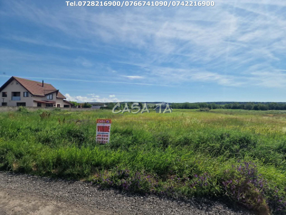 Teren Intravilan (3405 mp), Preajba -Str. Frăsinetului