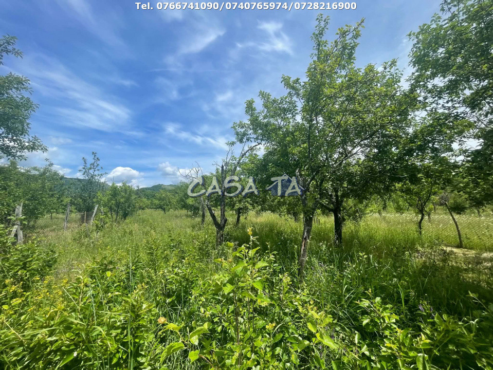 Casa 6 Camere, Stanesti - Curpen