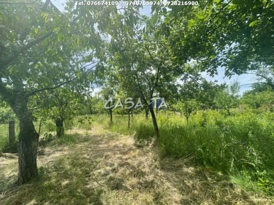 Casa 6 Camere, Stanesti - Curpen