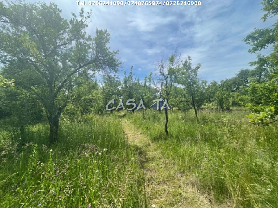 Casa 6 Camere, Stanesti - Curpen