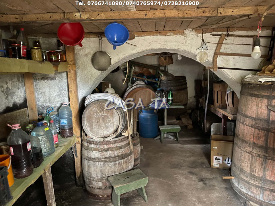 Casa 6 Camere, Stanesti - Curpen