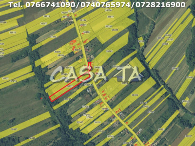 Teren Intravilan(6497 mp), Scoarta