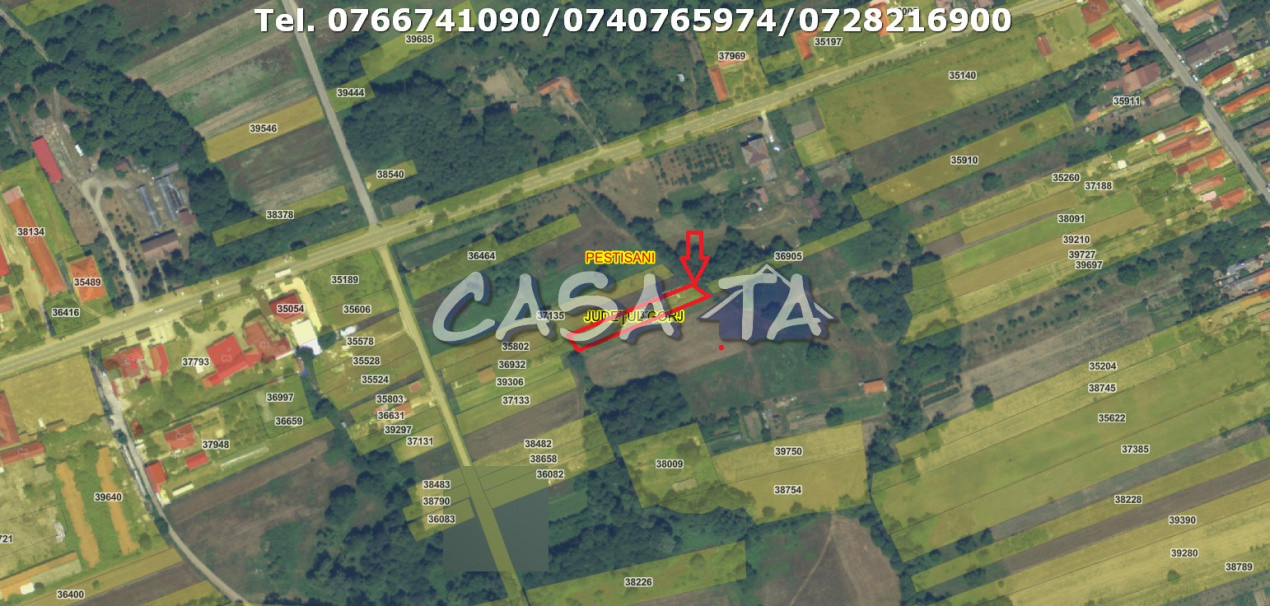 Teren Intravilan (900 mp), Pestisani