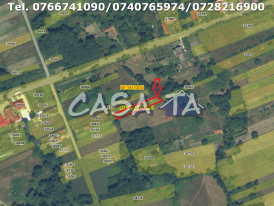 Teren Intravilan (900 mp), Pestisani