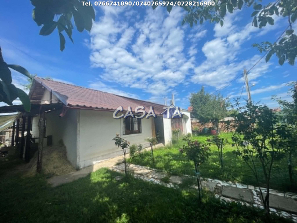 Casa de Vanzare, Prelungirea Panduri