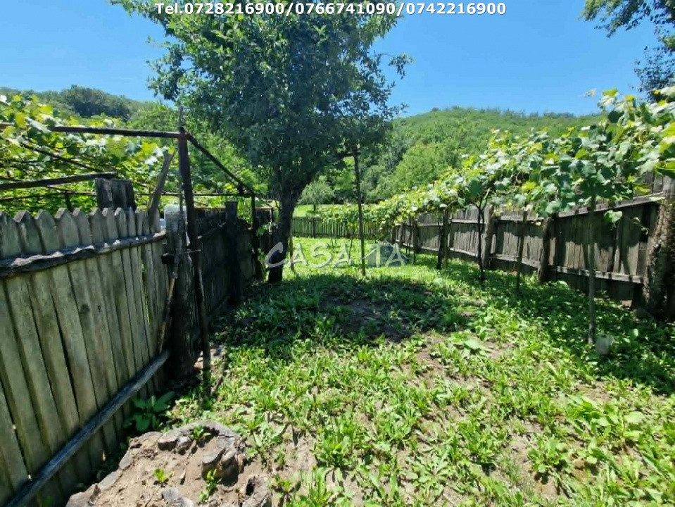 Casa situata în orasul Târgu-Carbunesti , Sat Ștefănești