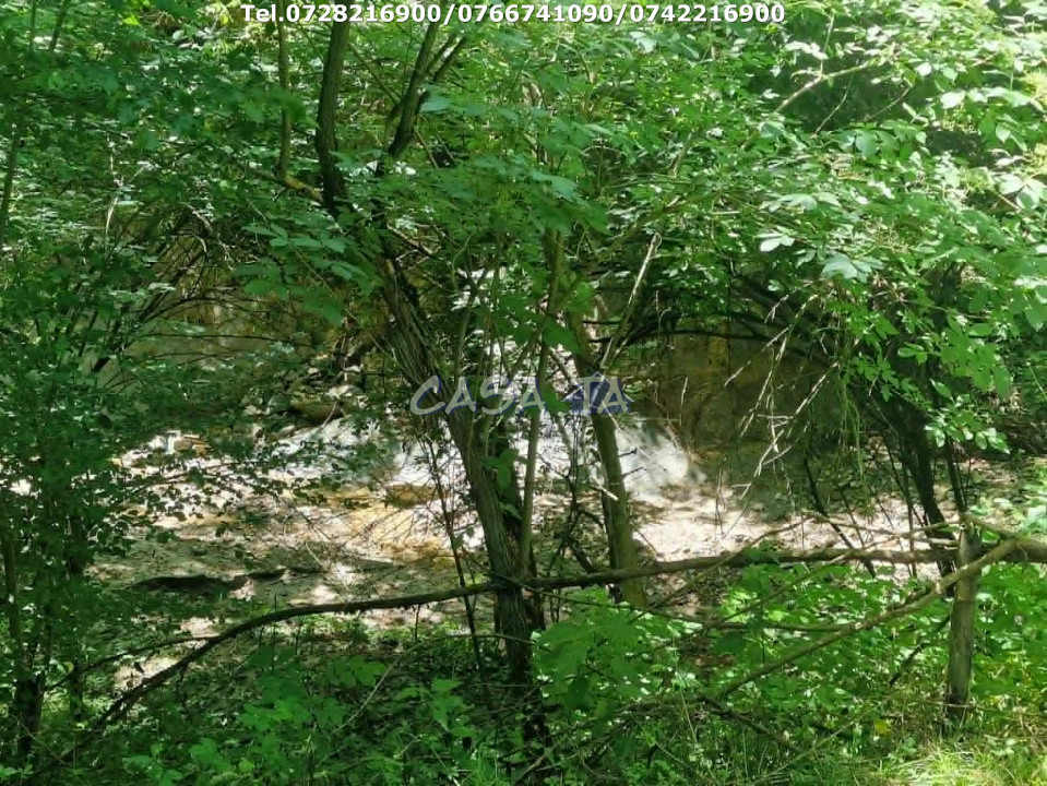 Casa situata în orasul Târgu-Carbunesti , Sat Ștefănești