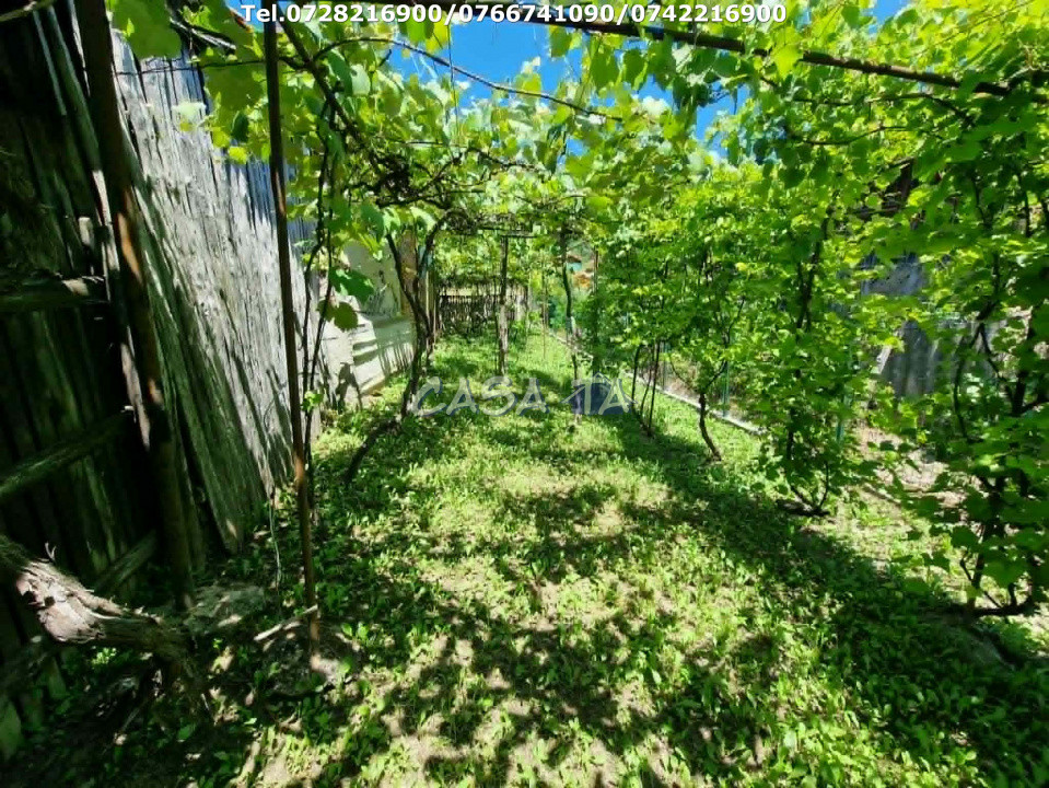 Casa situata în orasul Târgu-Carbunesti , Sat Ștefănești