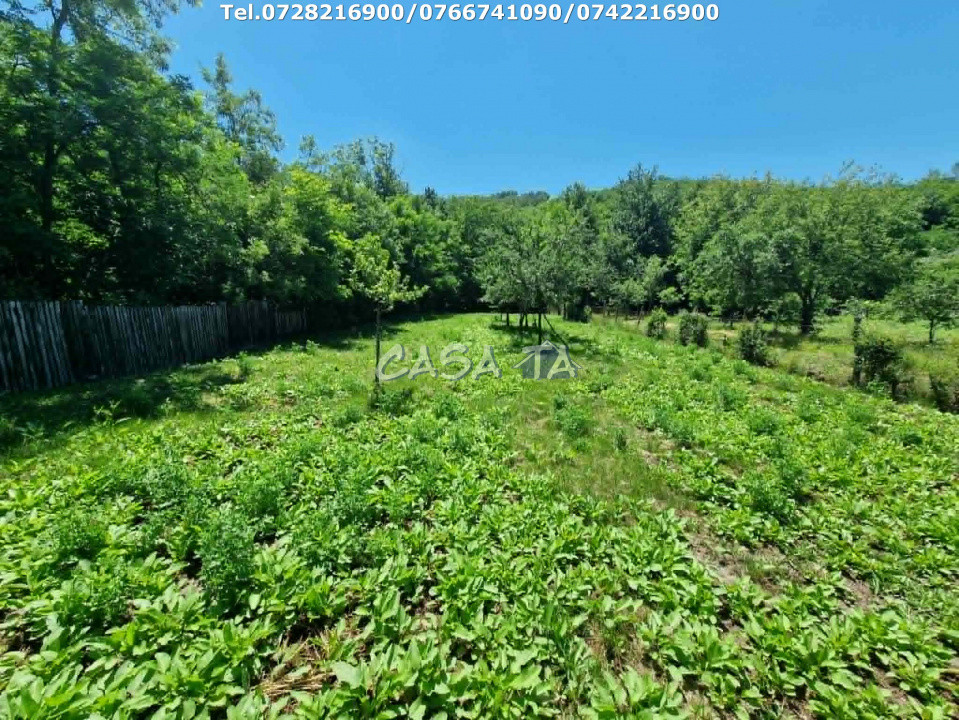 Casa situata în orasul Târgu-Carbunesti , Sat Ștefănești