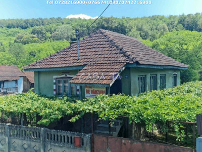 Casa situata în orasul Târgu-Carbunesti , Sat Ștefănești