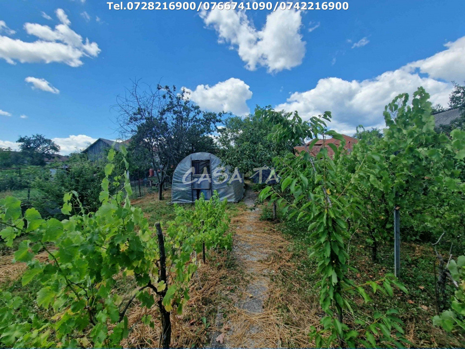 Casa situata în Arcani - Sănătești  