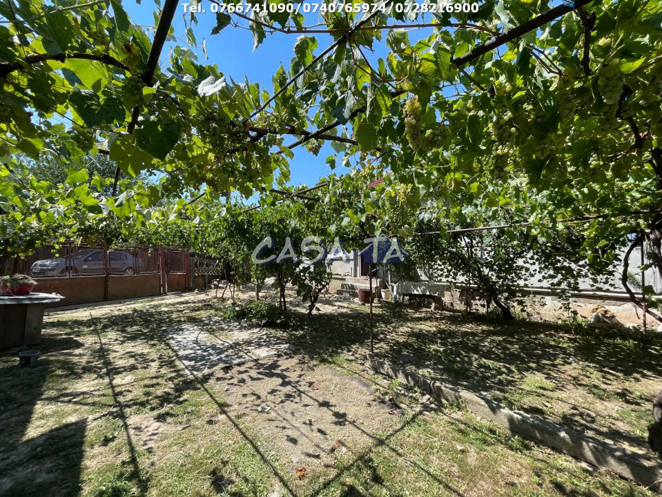 Casa 3 Camere+Anexe(teren 3853mp), Telesti-Gorj