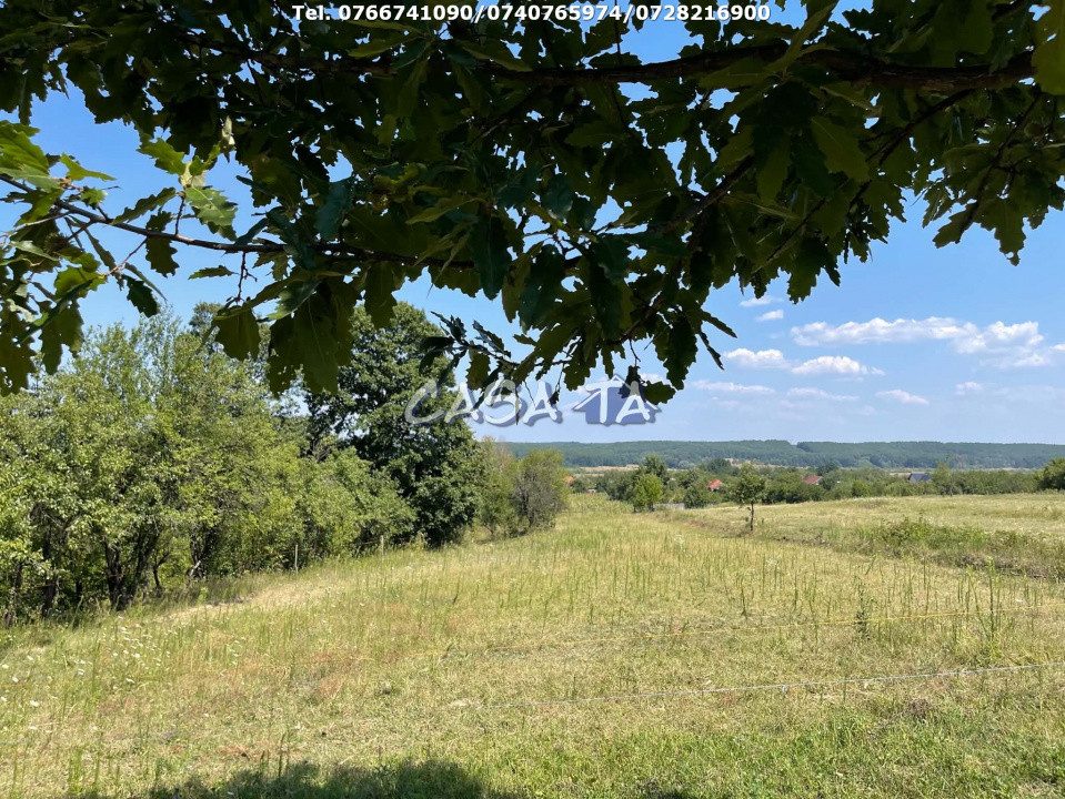 Casa 3 Camere+Anexe(teren 3853mp), Telesti-Gorj