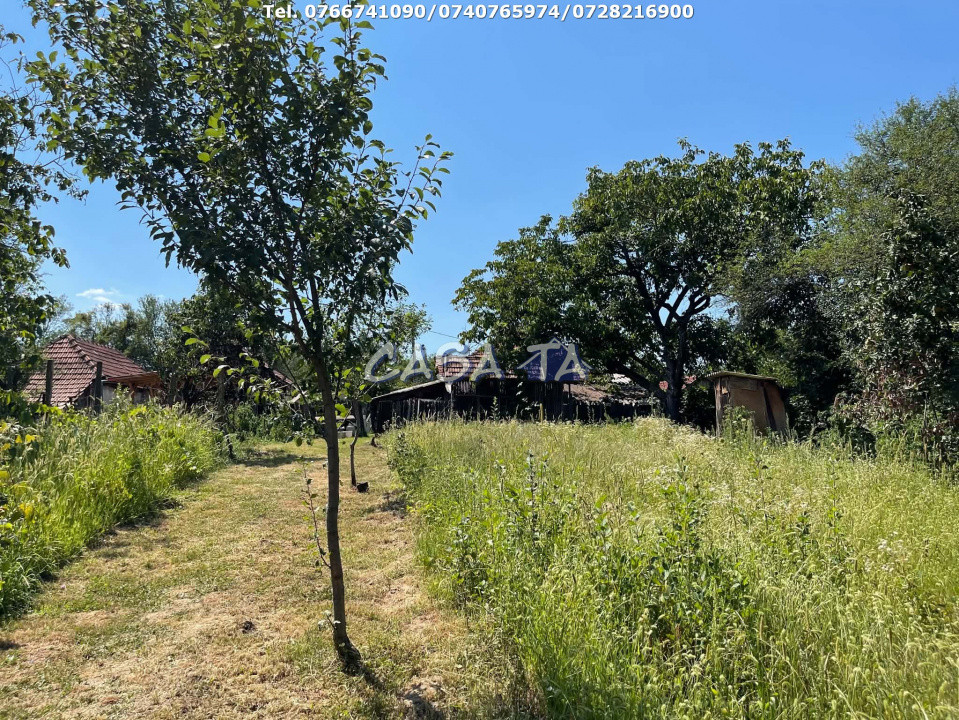 Casa 3 Camere+Anexe(teren 3853mp), Telesti-Gorj
