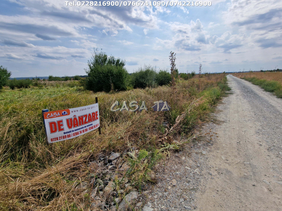 Teren Extravilan (9036 mp),situat în Targu-Jiu, str.Mărgăritarului (Centură)