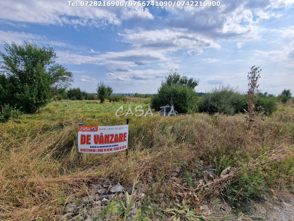 Teren Extravilan (9036 mp),situat în Targu-Jiu, str.Mărgăritarului (Centură)