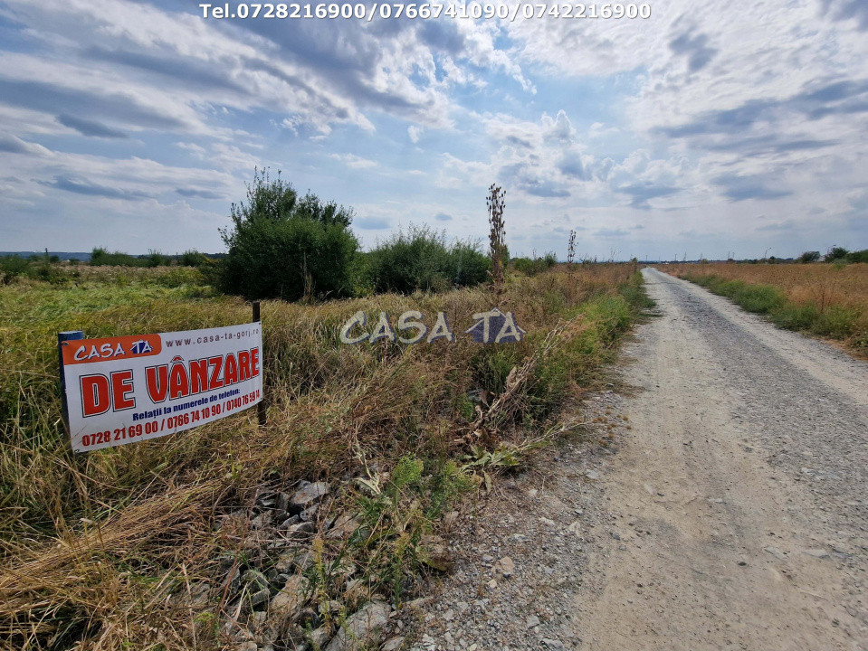 Teren Extravilan (9036 mp),situat în Targu-Jiu, str.Mărgăritarului (Centură)