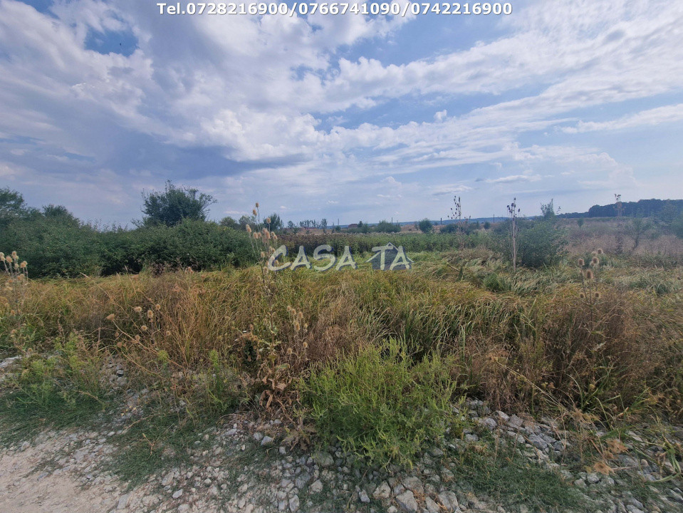 Teren Extravilan (9036 mp),situat în Targu-Jiu, str.Mărgăritarului (Centură)