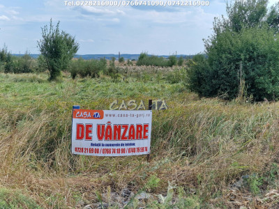 Teren Extravilan (9036 mp),situat în Targu-Jiu, str.Mărgăritarului (Centură)