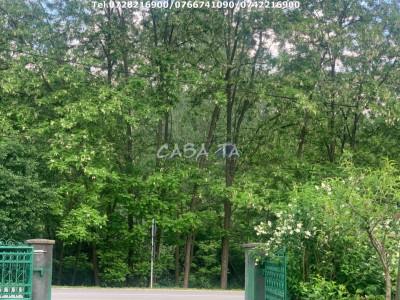 Teren Intravilan (2983 mp), situat in Sâmbotin (Gorj)