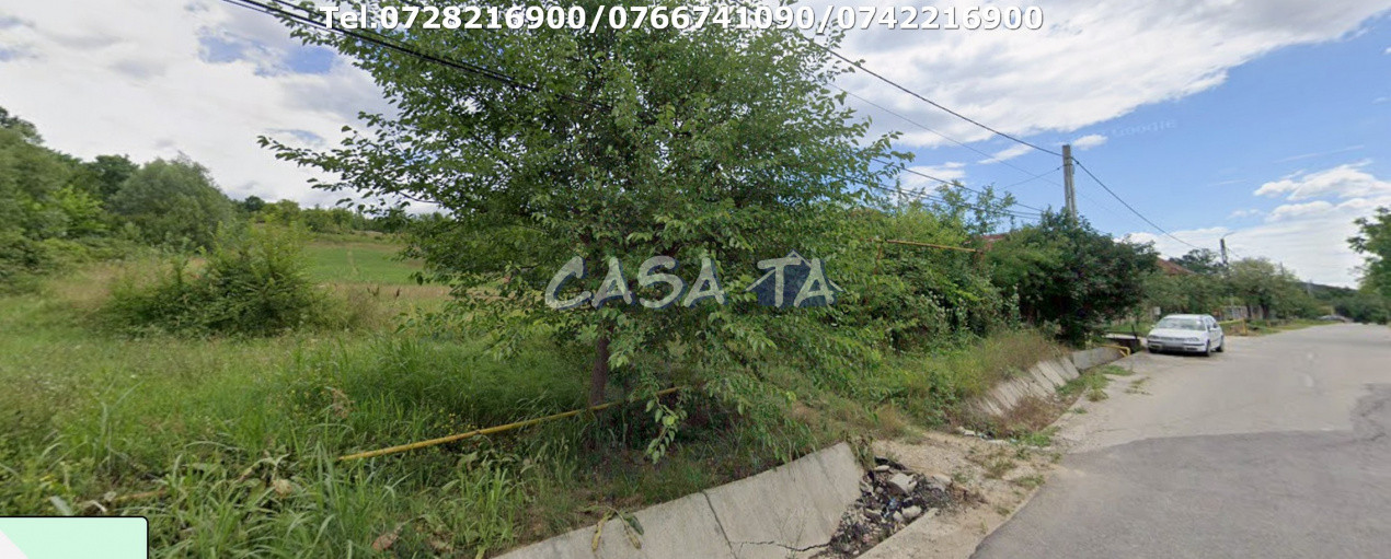 Teren Intravilan (3210 mp), Rasova-Bălești 