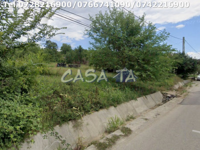 Teren Intravilan (3210 mp), Rasova-Bălești 