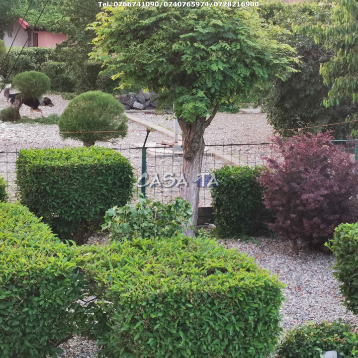Proprietate Exclusivista situata în Danesti - Vacarea, Gorj