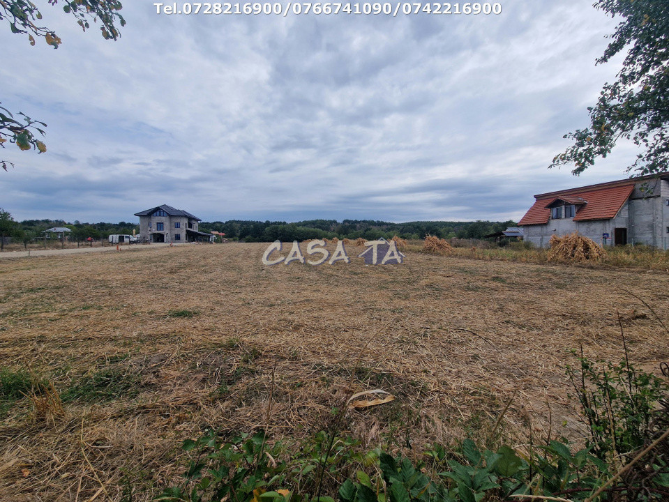 Teren intravilan+Extravilan (6200 mp),situat în Drăguțești-Urechești
