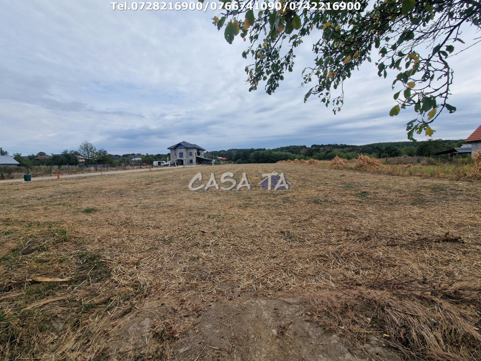 Teren intravilan+Extravilan (6200 mp),situat în Drăguțești-Urechești