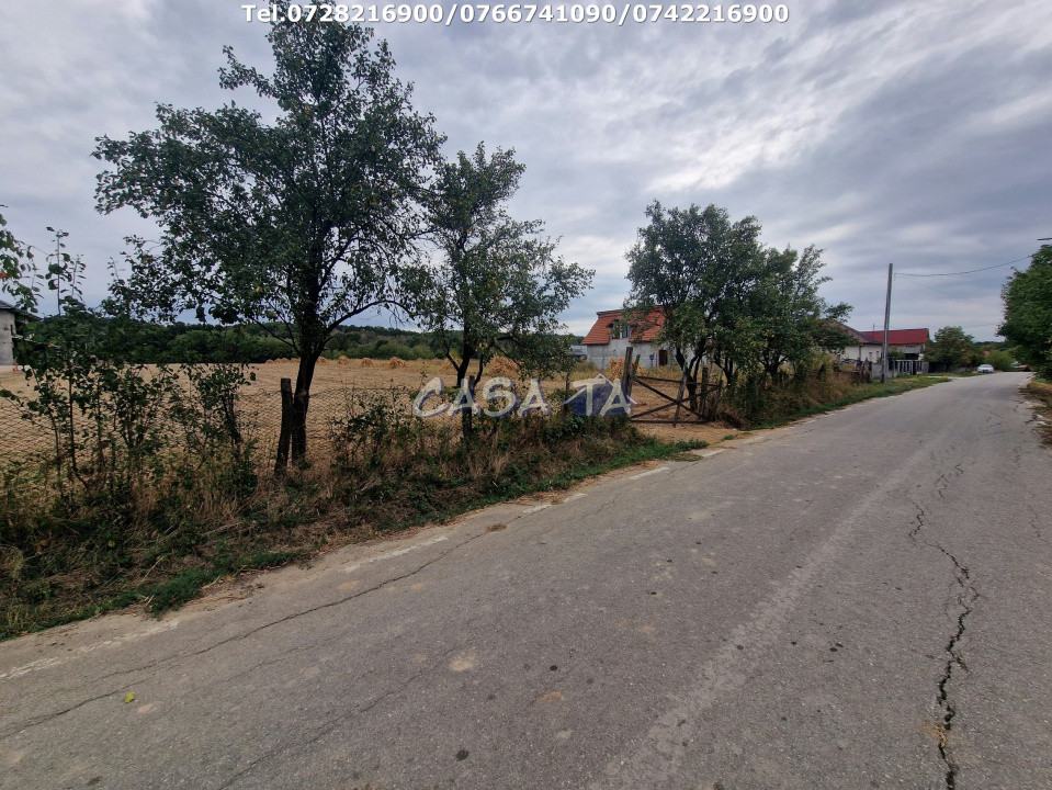 Teren intravilan+Extravilan (6200 mp),situat în Drăguțești-Urechești