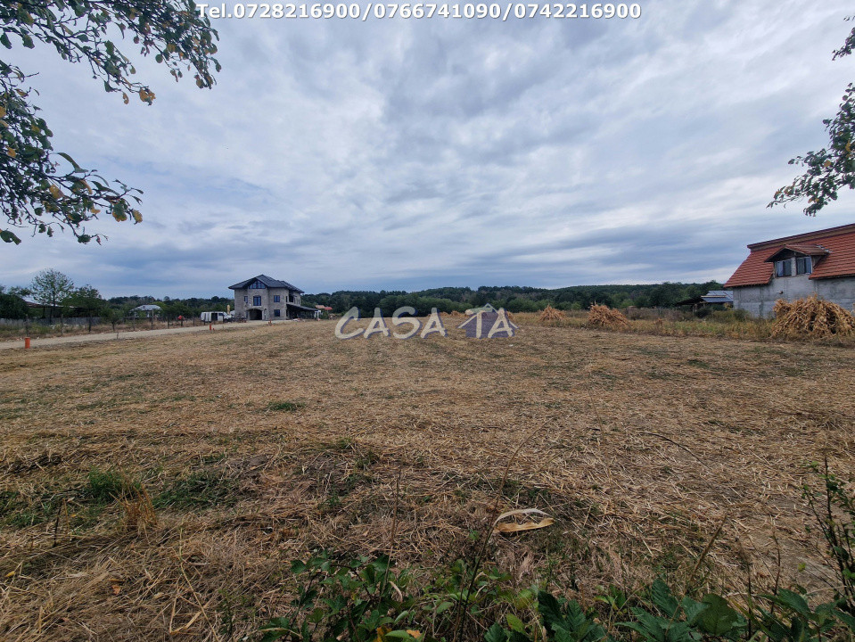 Teren intravilan+Extravilan (6200 mp),situat în Drăguțești-Urechești