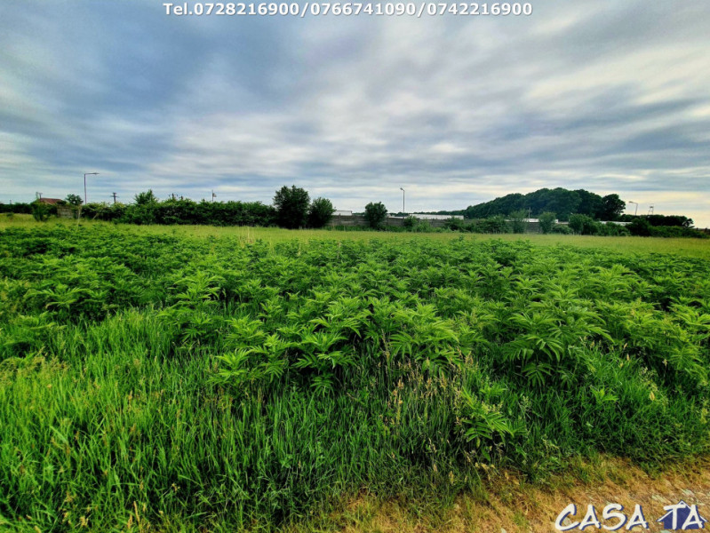 Teren (1098 mp), situat în Târgu Jiu, Str.Margaritarului